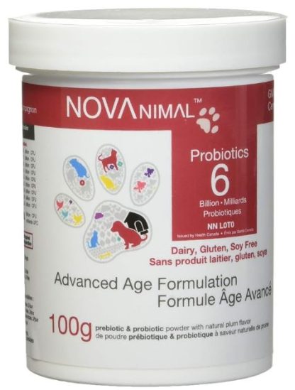 probiotique pour animaux chien chat novanimal probiotique milliard agé sénior