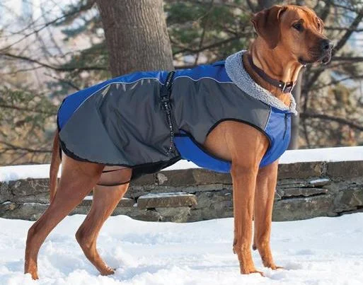 Manteau d'hiver Chinook Shedrow K9 rouge pour chien