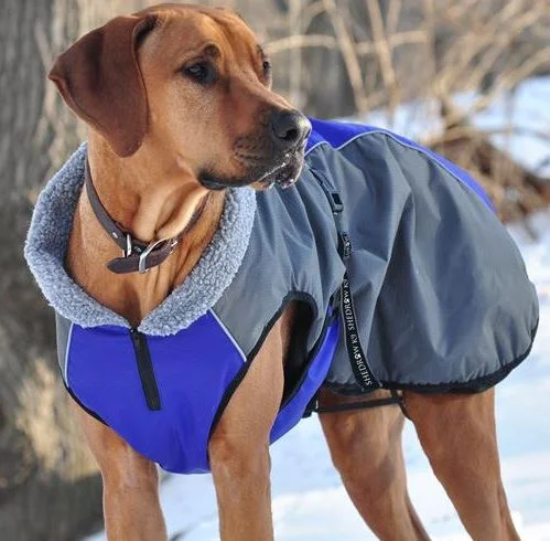 Manteau d'hiver Chinook Shedrow K9 rouge pour chien