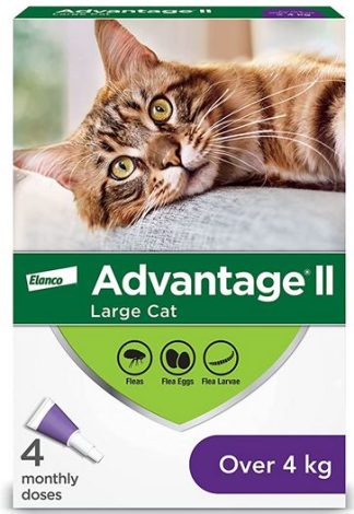 L’Advantage II un anti puces pour le chat de plus de 4 kg