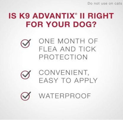 advantik right for your large dog